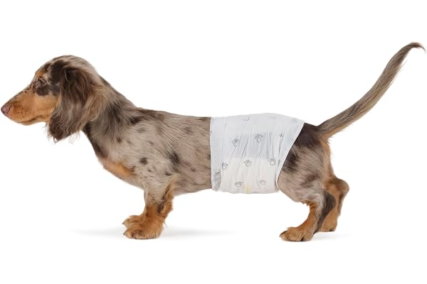 Amazon Basics Dog and Puppy Pee Pads with 5-Layer Leak-Proof Design and Super Absorbent Surface for Potty Training, Odor-Cont