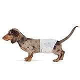 Amazon Basics Absorbent, Leakproof Male Dog Wrap