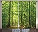 Ambesonne Woodland Curtains, Deciduous Forest Trees in Summertime Foliage Sun Rays Romantic Holidays Scenic Image, Living Room Bedroom Window Drapes 2 Panel Set, 108 X 84, Green Yellow