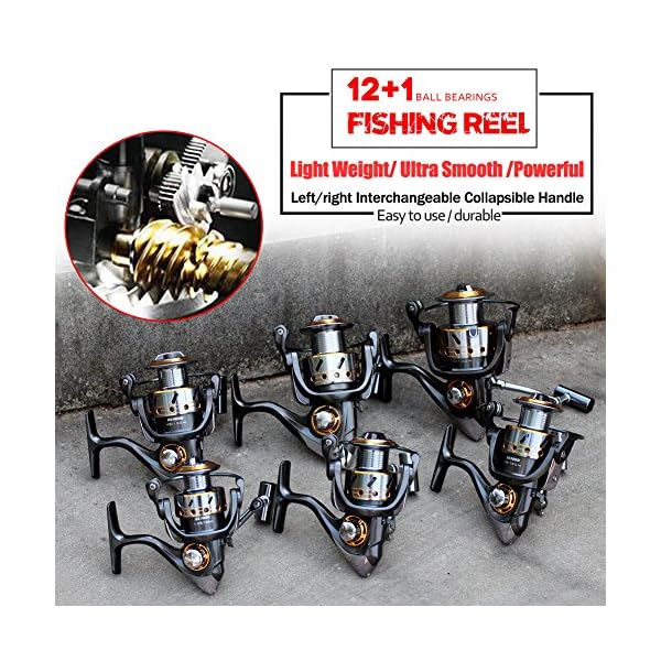 Sougayilang-Leftright-Interchangeable-Collapsible-Handle-Spinning-Fishing-Reel-with-521-Gear-Ratio-121-Ball-Bearings-for-Freshwater-Saltwater-Fishing