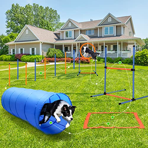 JMMPOO Agility Set Dogs, 65-Piece Agility Equipment for Dog Training Games with Dog Tunnel, Hurdles, 8 Slalom Poles, Jump Ring, 2 Tennis Ball Toys, Break Box, Treat Bag, Carry Bag
