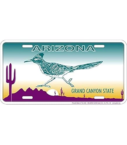 Amazon.com: CROSSWALKS Road Runner Crossing 12