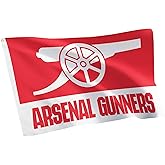 Desert Cactus Arsenal FC 100% Polyester Indoor Outdoor 3x5 feet Banner Gunners Football Soccer (Flag G)