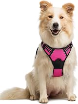 rabbitgoo Dog Harness Medium No Pull Reflective with 2 Leash Clips Rose Red
