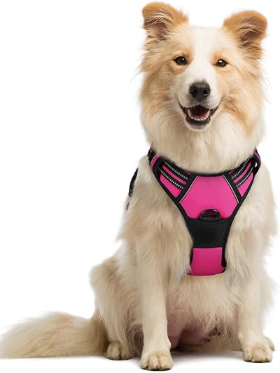 rabbitgoo Dog Harness Medium No Pull Reflective with 2 Leash Clips Rose Red