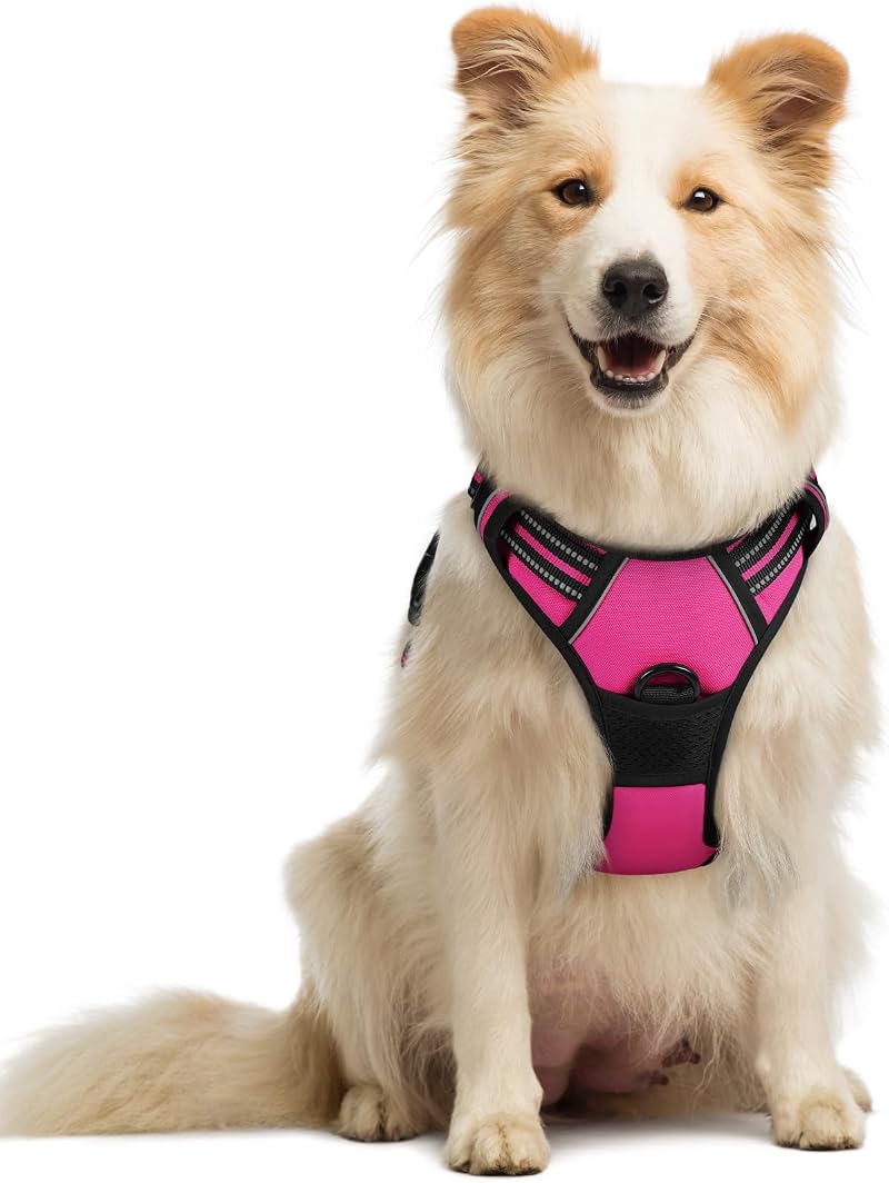 rabbitgoo Dog Harness Medium No Pull Reflective with 2 Leash Clips Rose Red