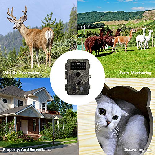 Meidase Game Trail Camera 20MP 1080P, 0.2s Trigger Time Motion Activated, No Glow Night Vision, IP66 Waterproof Cam for Nature Wildlife Deer Scouting & Hunting, Home & Outdoor Security - Thumbnail 7