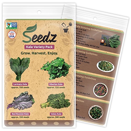 TOP-SELLING Certified Organic Seeds - Kale Variety Pack - Lacinato Kale, Siberian Kale, Red Russian Kale, Vates Kale Seeds - Heirloom Seeds - Non GMO, Non Hybrid Vegetable Seeds - USA