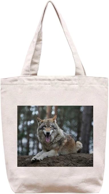 Hey, personas. – lona de algodón bolsa: Amazon.es: Hogar