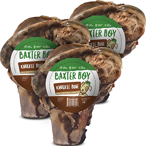 Baxter Boy Premium Grade Roasted Beef Knuckle Bone Dog Treat (3 Pack