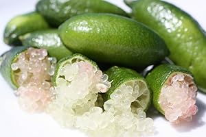 GIOVANNIS FISH MARKET Finger Limes aka Citrus Caviar (80 grams)