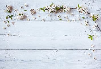 すべての花の画像 上背景画像 花