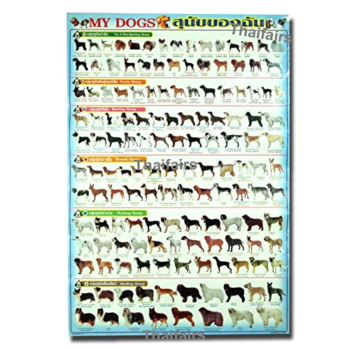 73+ Dog Breeds Chart With Photos Image Codepromos
