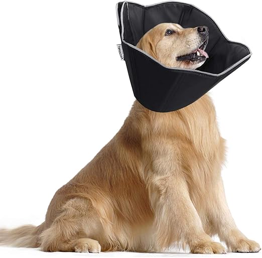 dog operation collar