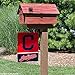 WinCraft Cleveland Double Sided Garden Flag