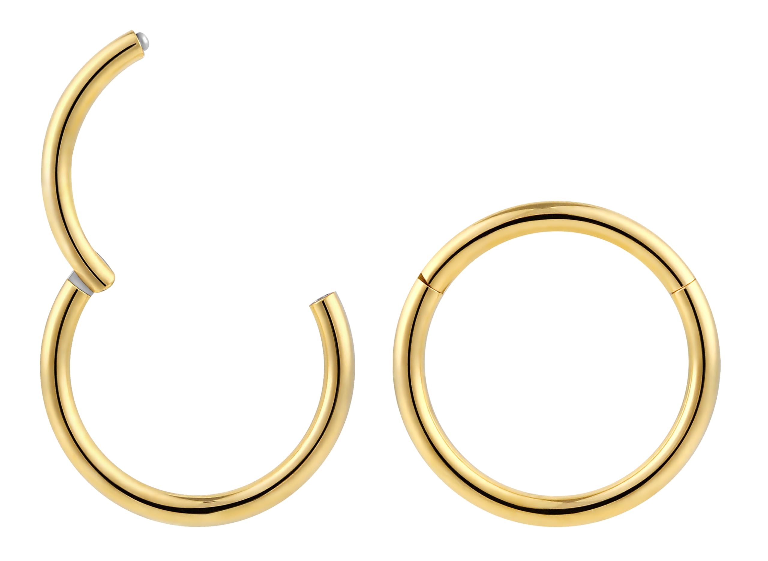 (16G 9mm) 2PCS 316L Surgical Steel Hypoallergenic Septum Jewellery Hinged Segment Ring Body Piercing Hoop Lip Rings Helix Cartilage Rook Sleeper Earrings