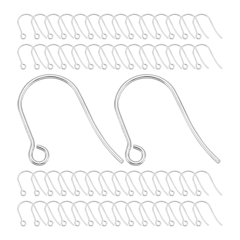 UNICRAFTALE about 200pcs Stainless Steel Earring Hooks Fish Ear Wire with Horizontal Loops Hook Earring Drop Earrings Jewelry Making 18x15mm for Bracelet Necklace Jewelry Making