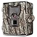 Bushnell 119754C Aggressor Cam Security Box Tree Bark Camo