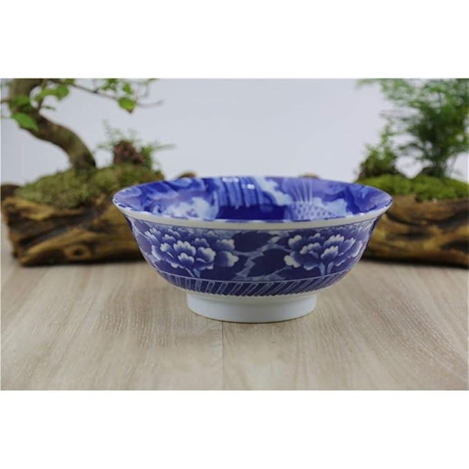 16LYP Gran Sopa de Fideos Ramen tazón de Frutas Ensalada de Pasta ...