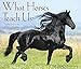 2016 What Horses Teach Us Box Calendar