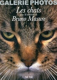 Les  chats