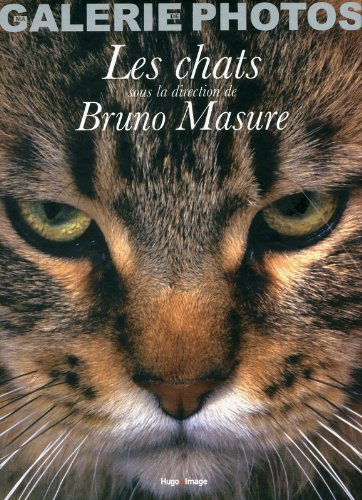 Les  chats