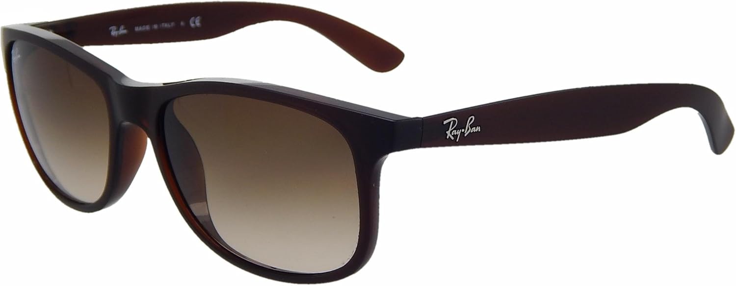 ray ban rb4202