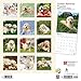 Golden Retriever Puppies 2019 12 x 12 Inch Monthly Square Wall Calendar, Animals Dog Breeds Golden Puppies