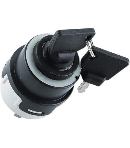 Amazon.com: 701/80184 50988 New Ignition Switch with 2 Keys for
