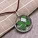 LUOEM Oval Pendant Flower Pressed Necklace Dried Leaves Clover Necklace for Women Girls