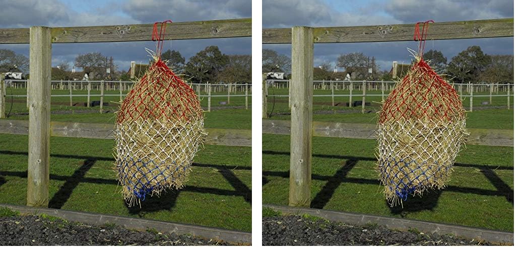 Rhinegold Monarch Small Hole Haynet-44-Red/White/Blue (Pack of 2)