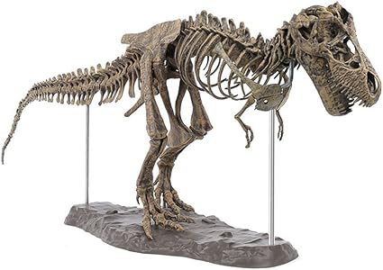 Yuiop Replique Squelette Modele Anatomique Dinosaure Modele Tyrannosaure Rex Pvc T Rex Collector Super Decoration Amazon Fr Cuisine Maison