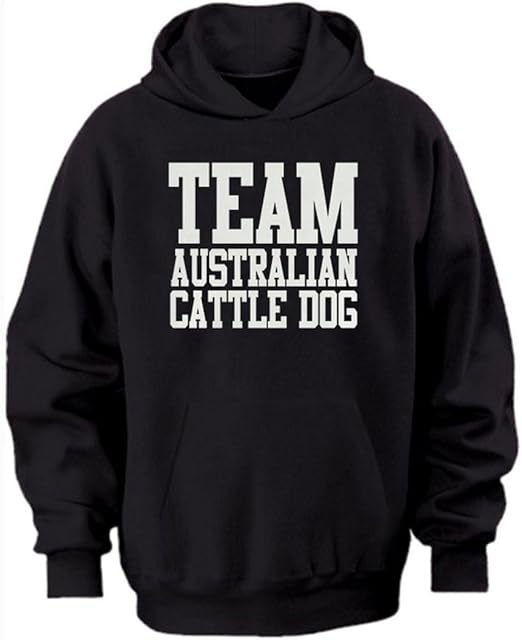 taylor swift exile sweatshirt