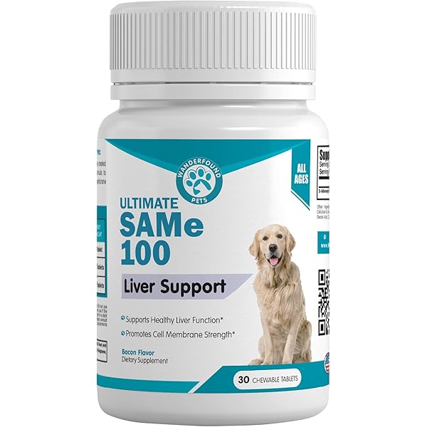 rx vitamins hepato support dogs & cat supplement