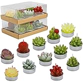 WANGMINGTU Succulent Cactus Tea Light Candles Cute Plant Shaped Bulk for Birthday Party Wedding Baby Bridal Shower Favor Decor Hostess Gift Sets (12 PCS)