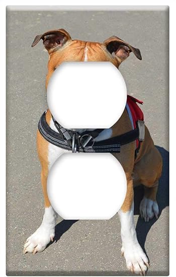 pet sitting places near me