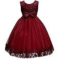 WEONEDREAM Flower Girl Pageant Dress Girls Elegant Lace Tulle Baptism Wedding Princess Gown Party Dresses