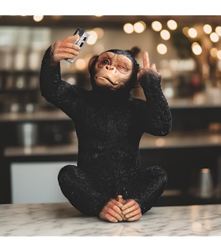 Amazon.com: The Leonardo Collection Cheeky Monkeys Twin Figurines