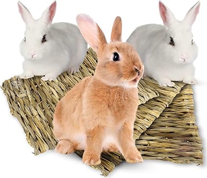 Amazon Com Sungrow Seagrass Rabbit Mat Protect Paws From Wire