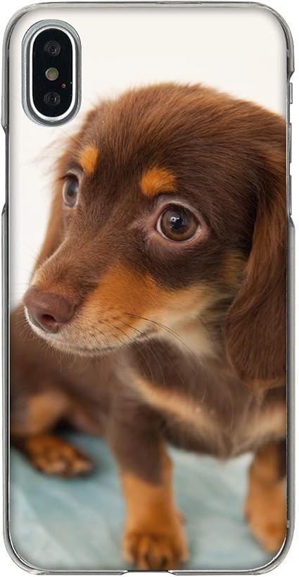 Amazon Co Jp Iphonexs Iphonex Iphone10 スマホケース ミニチュアダックス 柄 ハードクリアケース 家電 カメラ