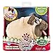 Chubby Puppies & Friends - Bumbling Puppies Plush - Pug