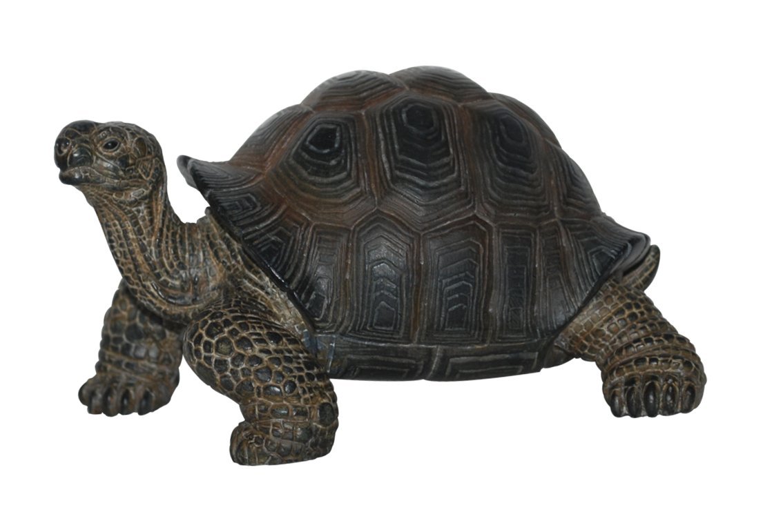 Pet Pal Baby Tortoise in Carrier