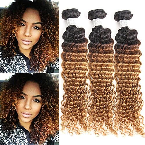 IMAYLI 8A Ombre Brazilian Deep Wave Virgin Hair Weave 3 Bundles Wet And Wavy Brazilian Hair Deep Curly Weave Human Hair Extensions 100% Remy Human Hair Two Tone Color T1B/30(14 14 14)