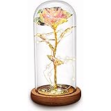 Christmas Rose Gift for her,Women's Gift Birthday Gifts Colorful Artificial Flower Rose Gift Led Light String on Colorful Flo