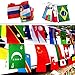 Buytra 100 Countries Flags 82ft International Flags Bunting Banner for Party Decorations,Olympics,Grand Opening,Bar,Sports Clubs,School Events,Cultural Studies and More