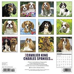 Just Cavalier King Charles Spaniels 2018 Calendar