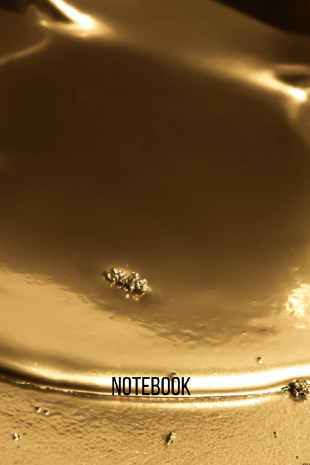 gold Notebook: blank lined composition journal | gold notebook | 100 pages