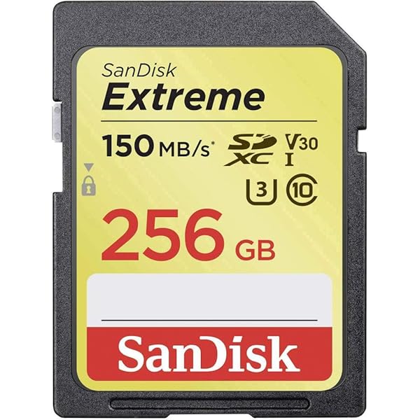 Amazon.com: SanDisk SD Ultra 256GB Memory Card for Camera