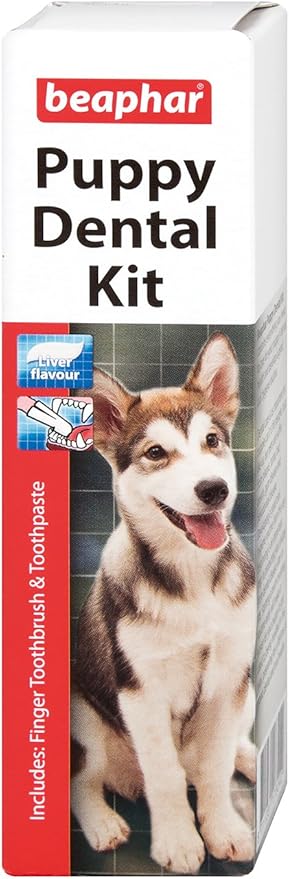 beaphar toothbrush and toothpaste kit