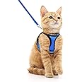 rabbitgoo Cat Harness and Leash Set for Walking Escape Proof, Adjustable Soft Kittens Vest with Reflective Strip for Cats, Comfortable Outdoor Vest, Blue, M